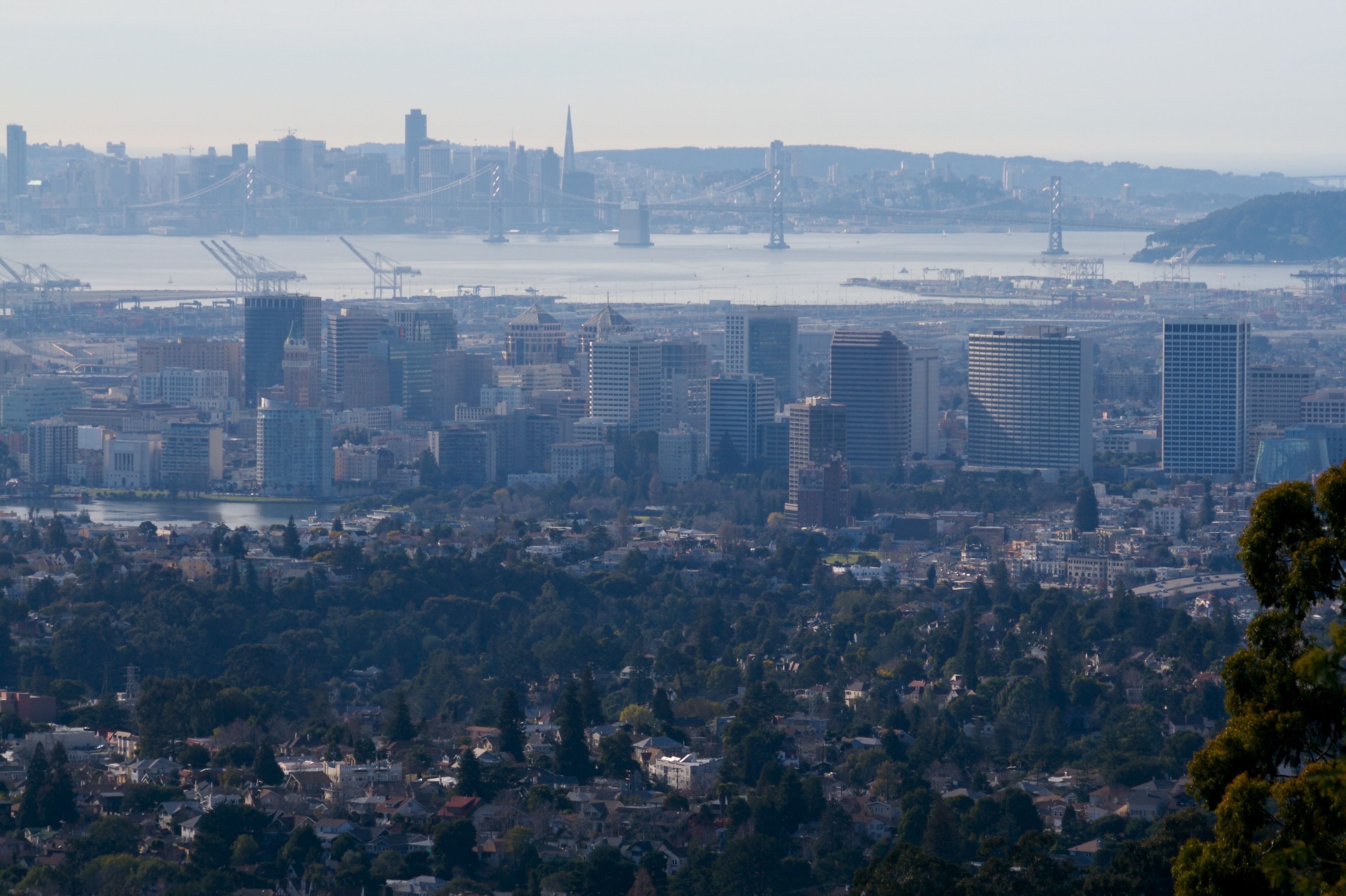 Trams For Oakland: Bringing trolleys back to Oakland after nearly 70 years.
